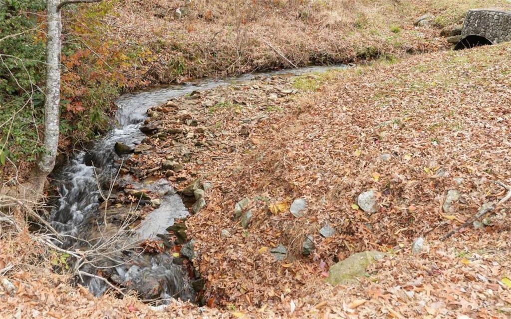 333 Favor Rabun Gap, GA 30568 - Photo 25 of 97