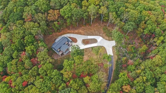 a view of a dry yard with trees in the background