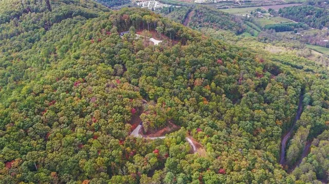 a view of a dry yard