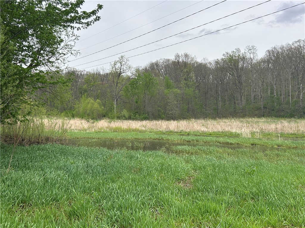 County Line Road Herrick, IL 62431 - Photo 12 of 20