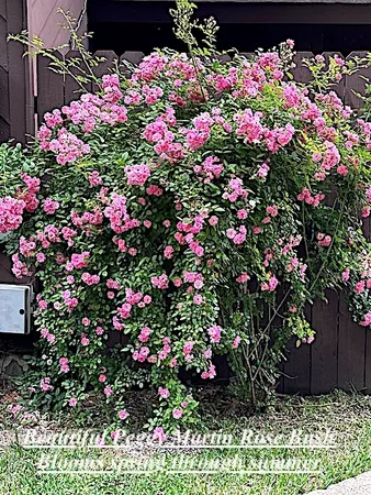 $226,500 | 200 Fountain Lake West, Unit 125, Livingston, TX 77351