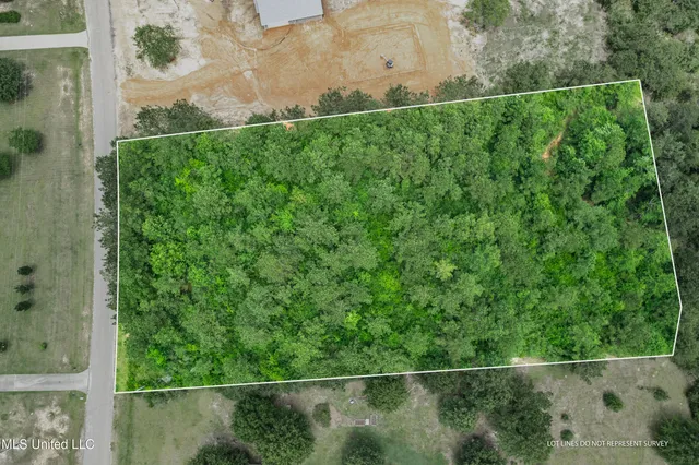 $39,900 | Lake Drive, McHenry, MS 39561