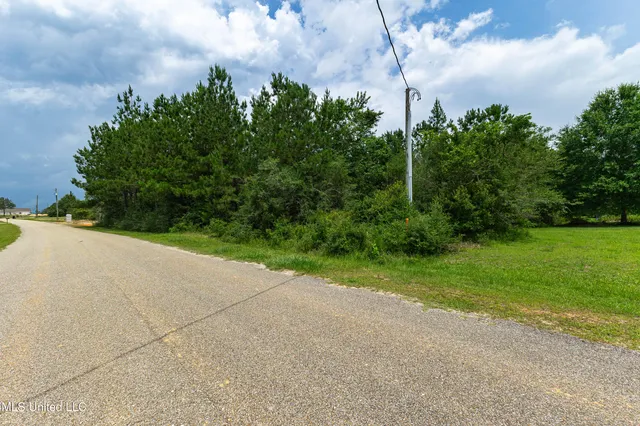 $39,900 | Lake Drive, McHenry, MS 39561