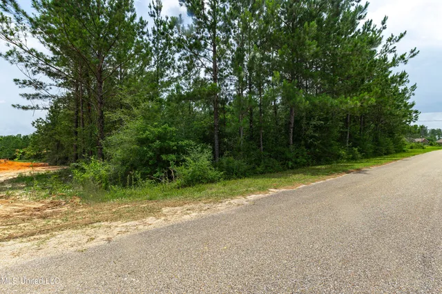 $39,900 | Lake Drive, McHenry, MS 39561