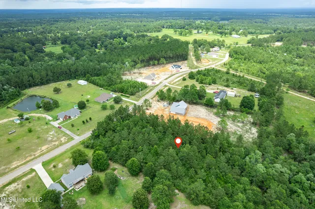 $39,900 | Lake Drive, McHenry, MS 39561