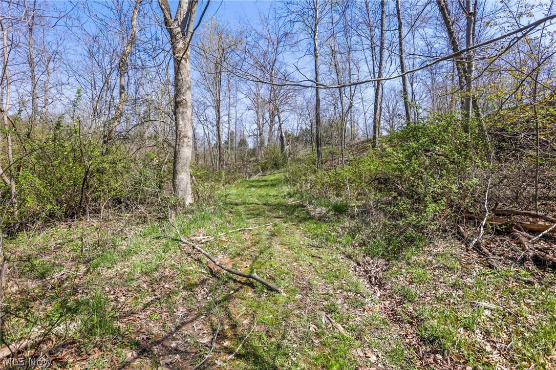 4502 Clover Road Cumberland, OH 43732 - Photo 30 of 38 View of local wilderness