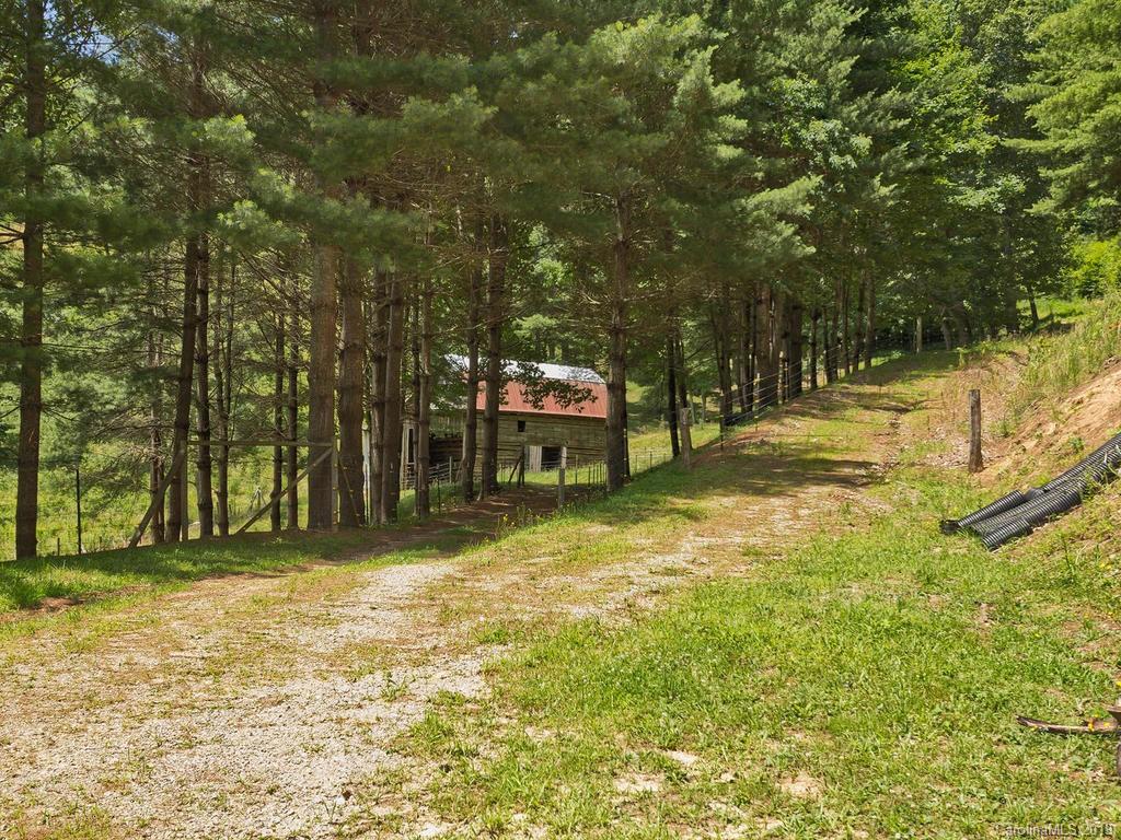 10669 Rush Fork Road Clyde, NC 28721 - Photo 15 of 40