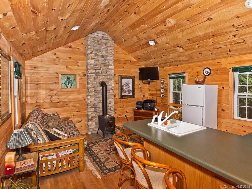 10669 Rush Fork Road Clyde, NC 28721 - Photo 33 of 40