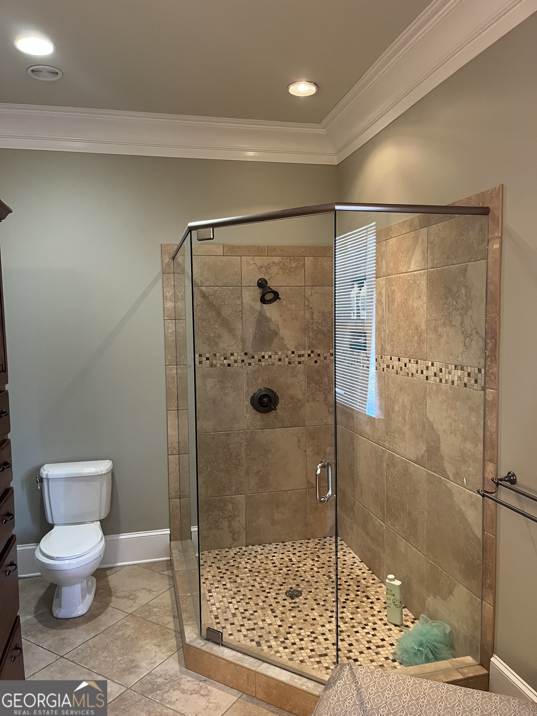 87 Ridgeview Lane Ringgold, GA 30736 - Photo 16 of 32 a bathroom with a shower and toilet