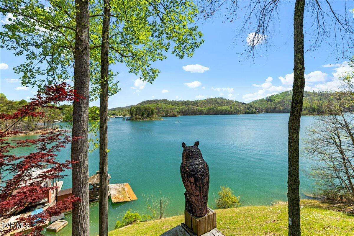 143 Lakeside Drive Butler, TN 37640 - Photo 33 of 70 28-128A3101