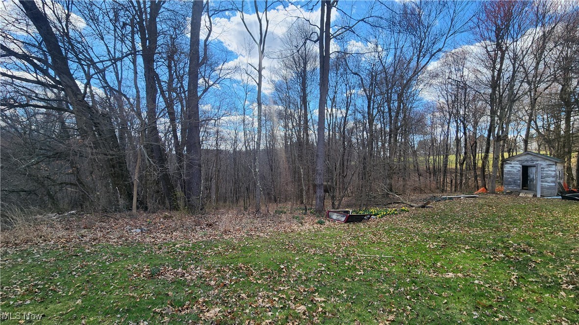 6332 Senlac Road Southeast Amsterdam, OH 43903 - Photo 12 of 31 View of woods