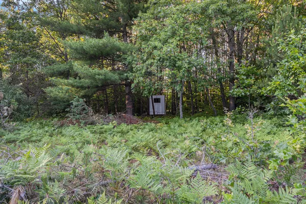 $115,000 | 3289 North Felch Avenue, White Cloud, MI 49349