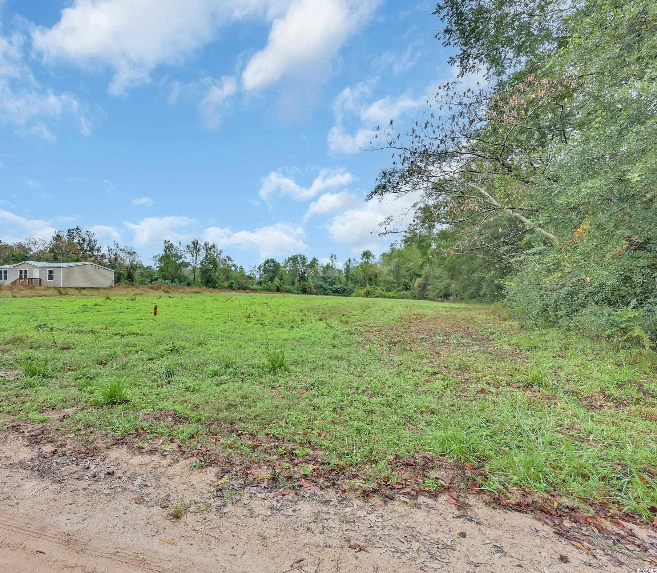 Tbd Willow Grove Drive Loris, SC 29569 - Photo 6 of 34