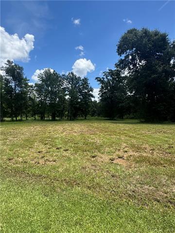 49090 Stafford Road Tickfaw, LA 70466 - Photo 7 of 8