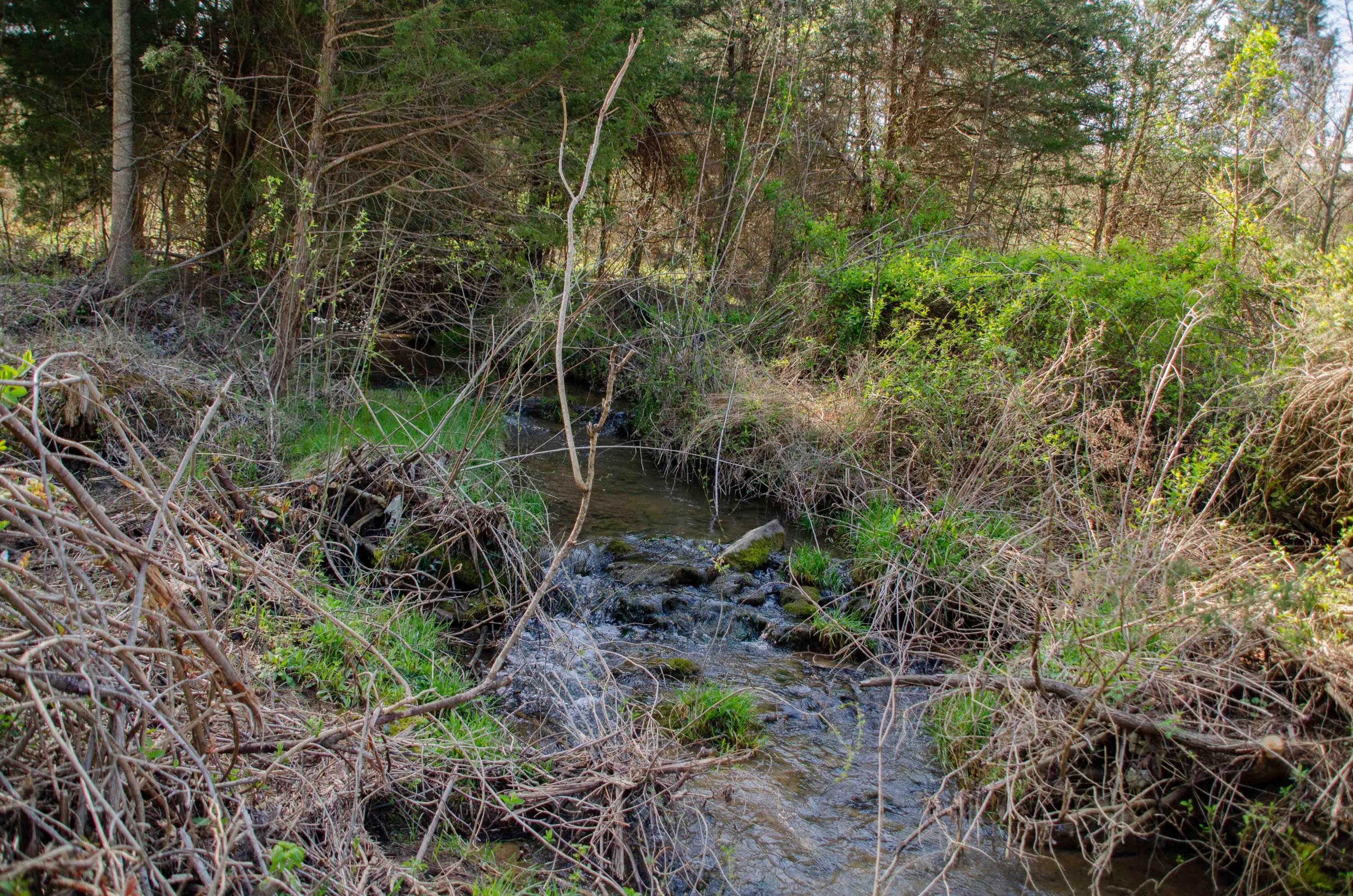 0 Double Springs Road Fall Branch, TN 37656 - Photo 15 of 38 00 Double Springs-3
