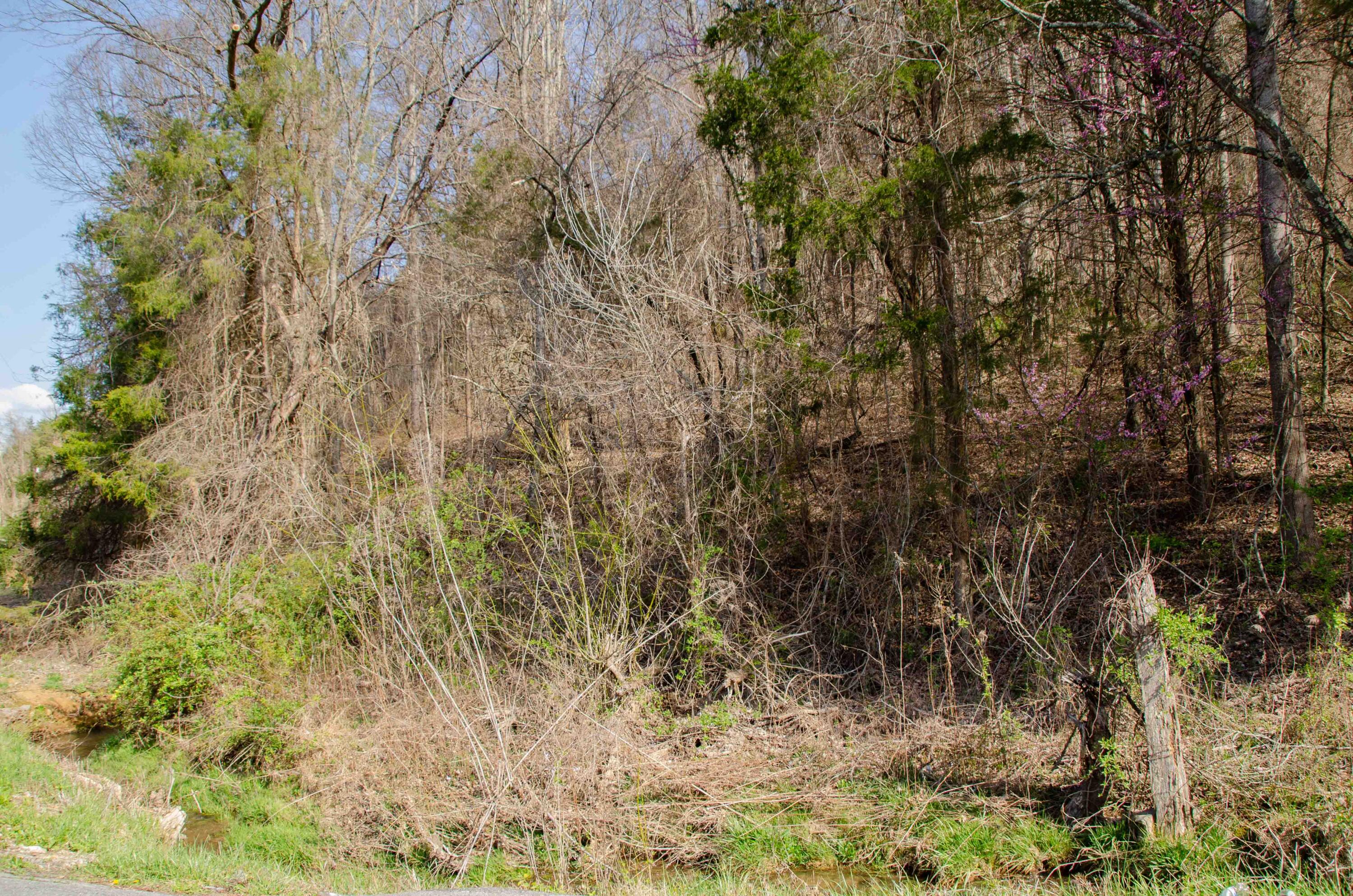 0 Double Springs Road Fall Branch, TN 37656 - Photo 17 of 38 00 Double Springs-5