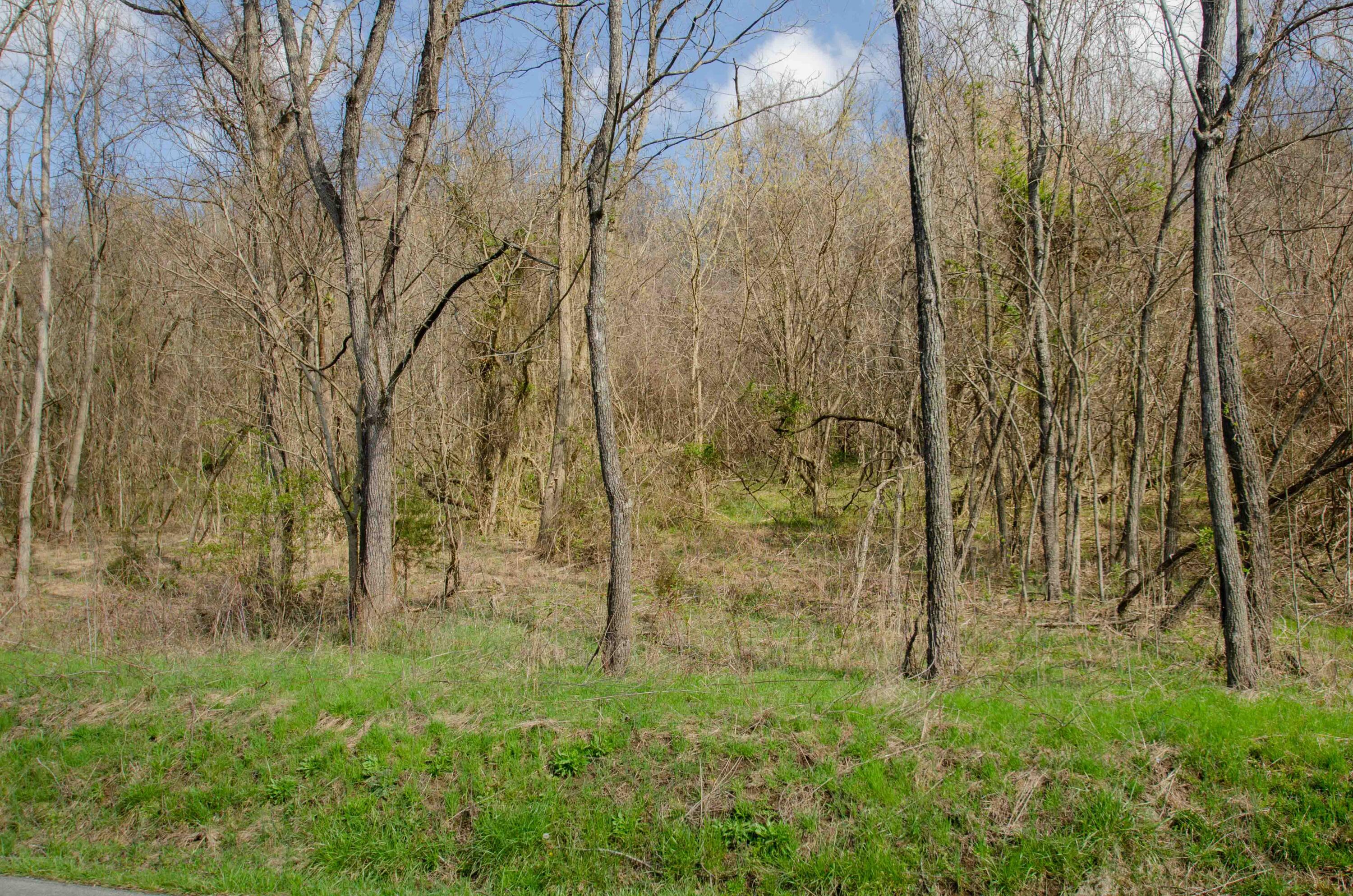 0 Double Springs Road Fall Branch, TN 37656 - Photo 24 of 38 00 Double Springs-14