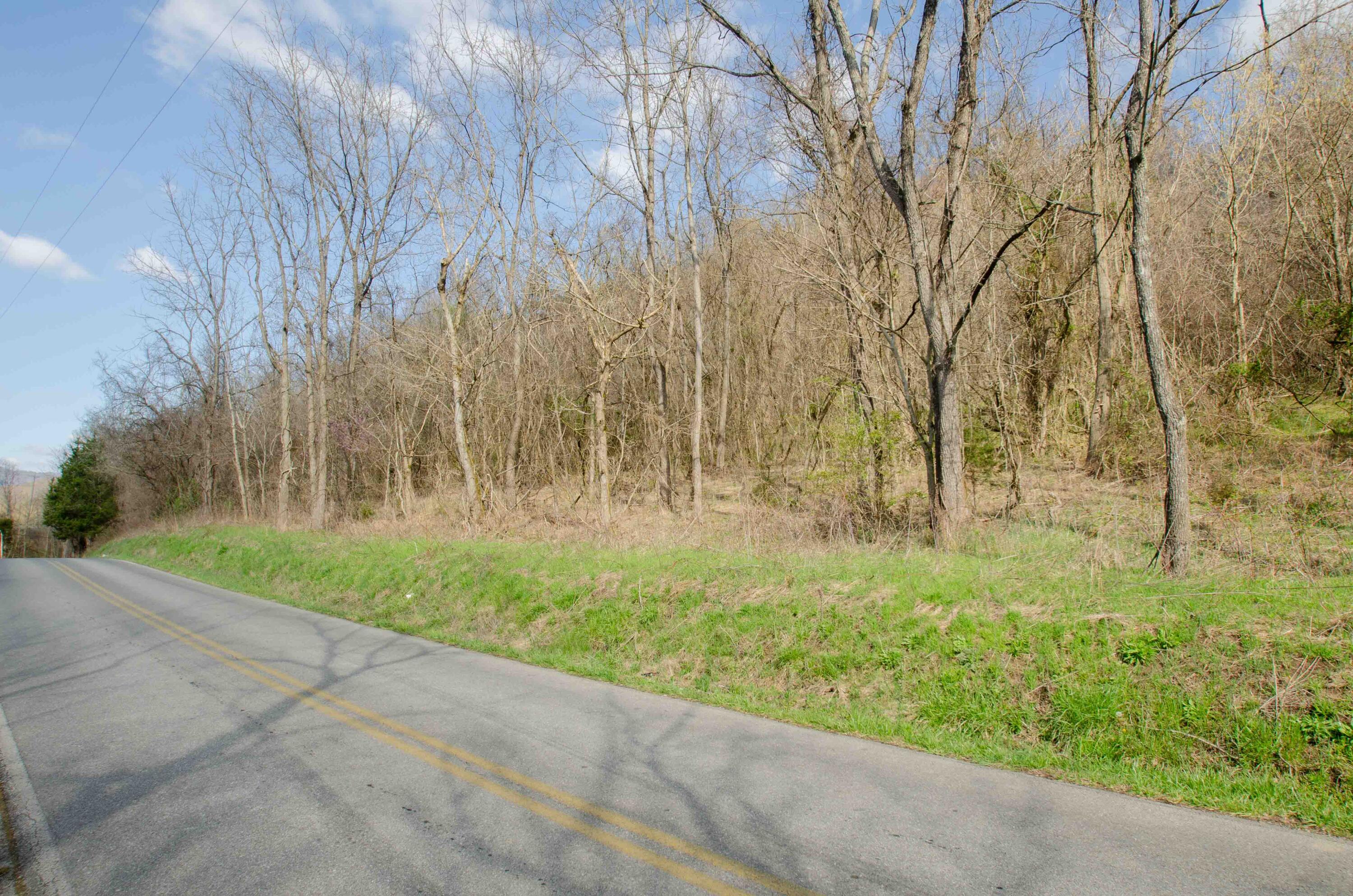 0 Double Springs Road Fall Branch, TN 37656 - Photo 25 of 38 00 Double Springs-15