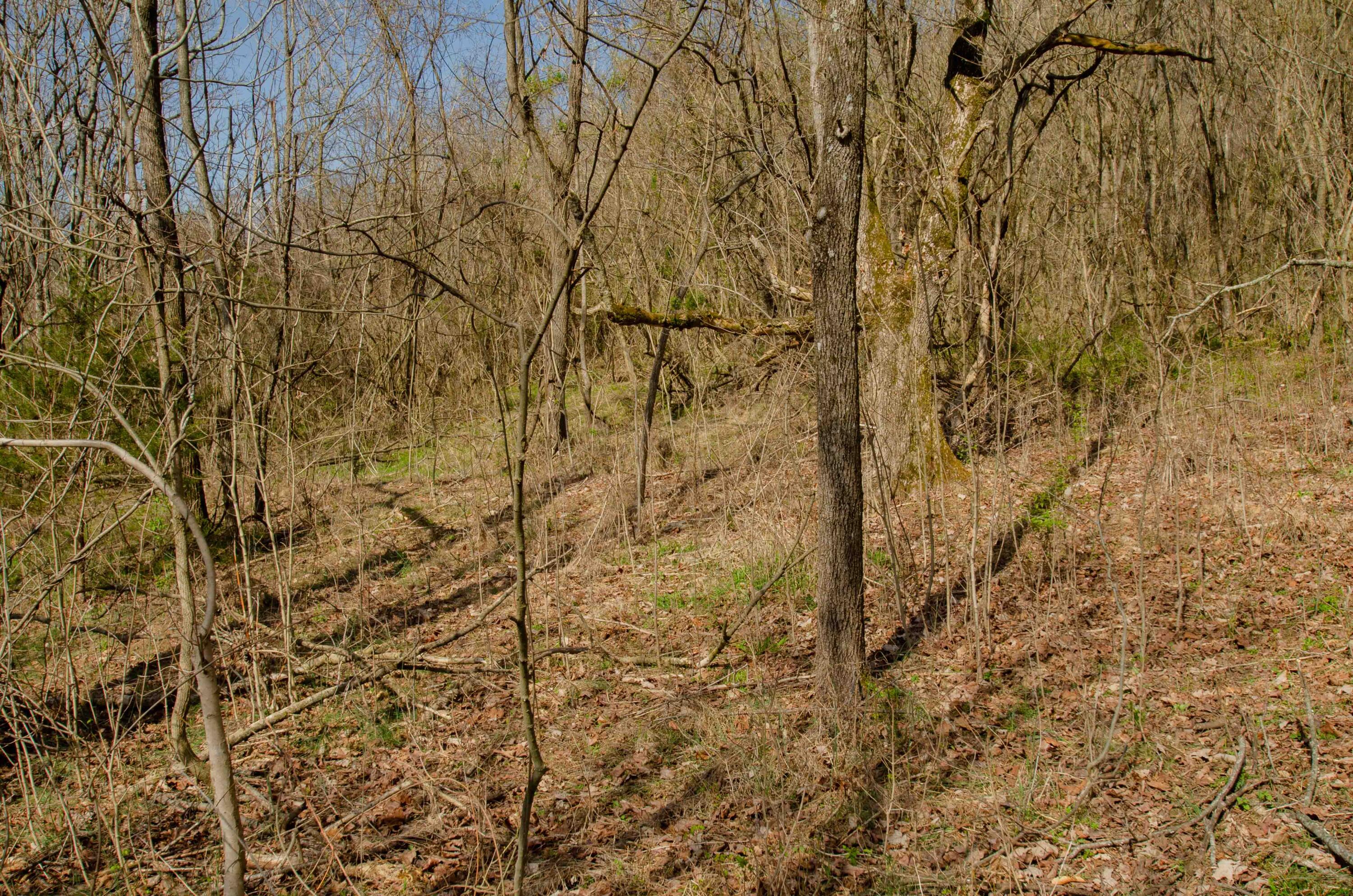 0 Double Springs Road Fall Branch, TN 37656 - Photo 31 of 38 00 Double Springs-21
