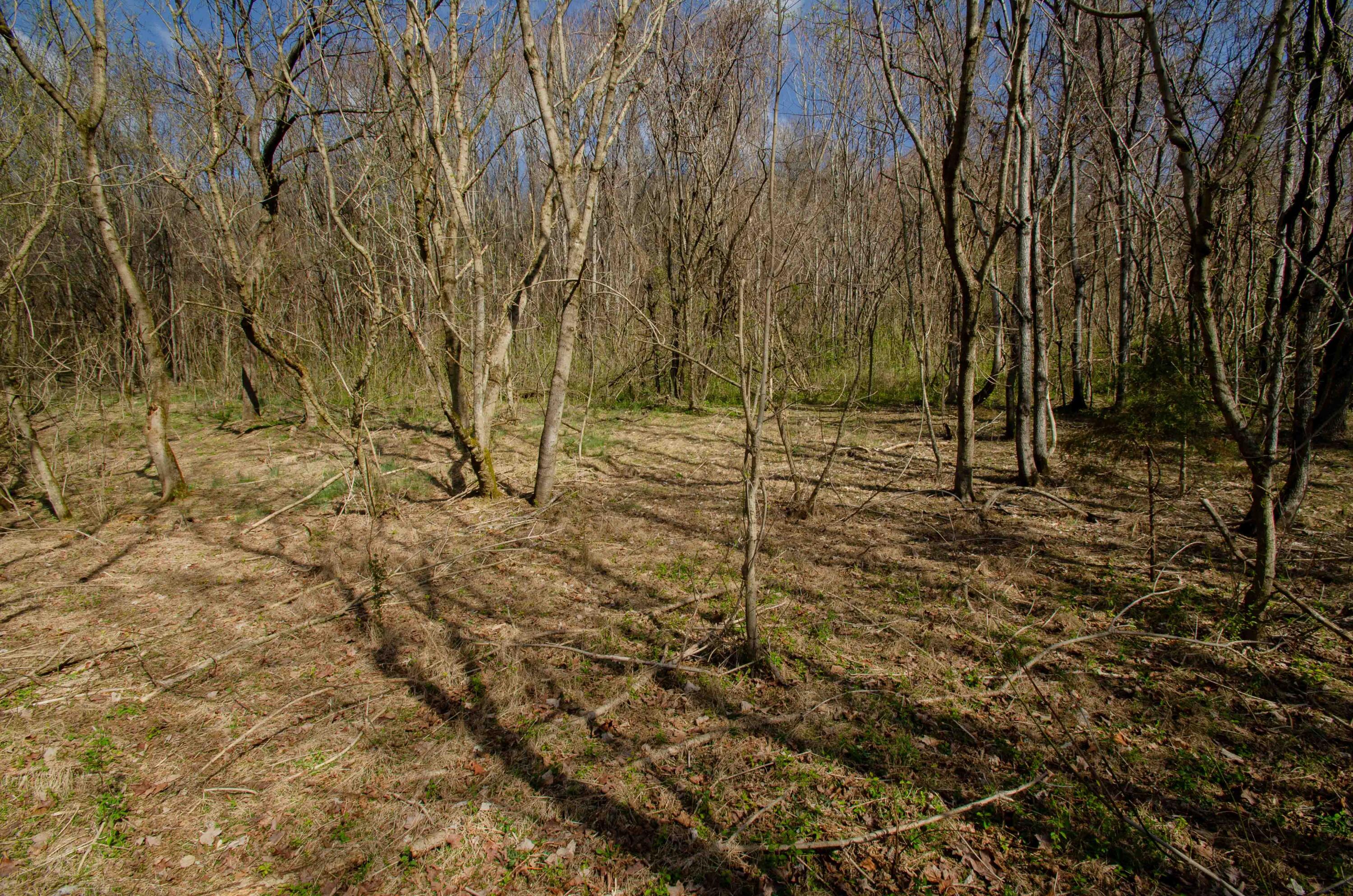 0 Double Springs Road Fall Branch, TN 37656 - Photo 32 of 38 00 Double Springs-22