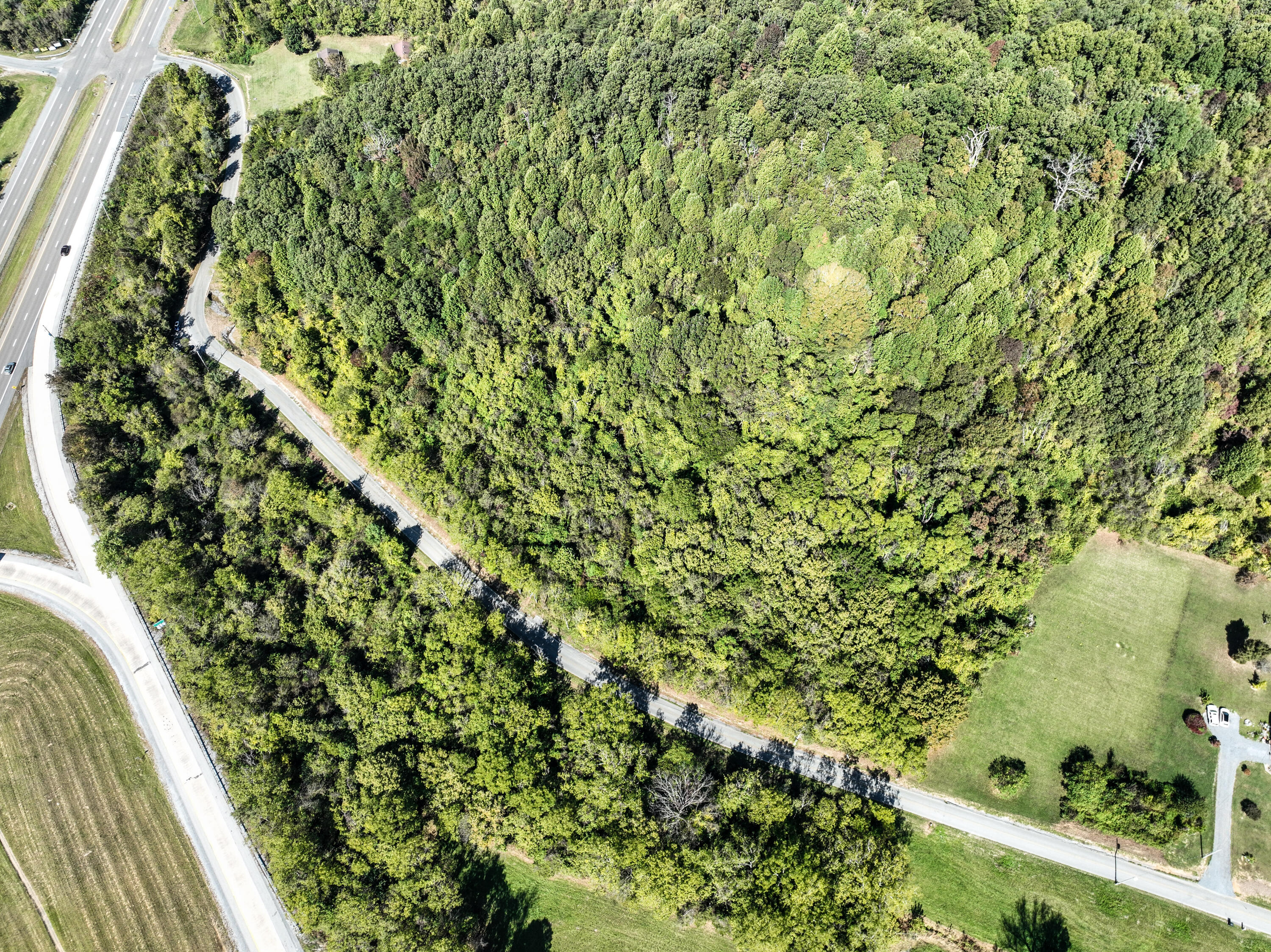 0 Double Springs Road Fall Branch, TN 37656 - Photo 5 of 38 PSX_20231012_191018