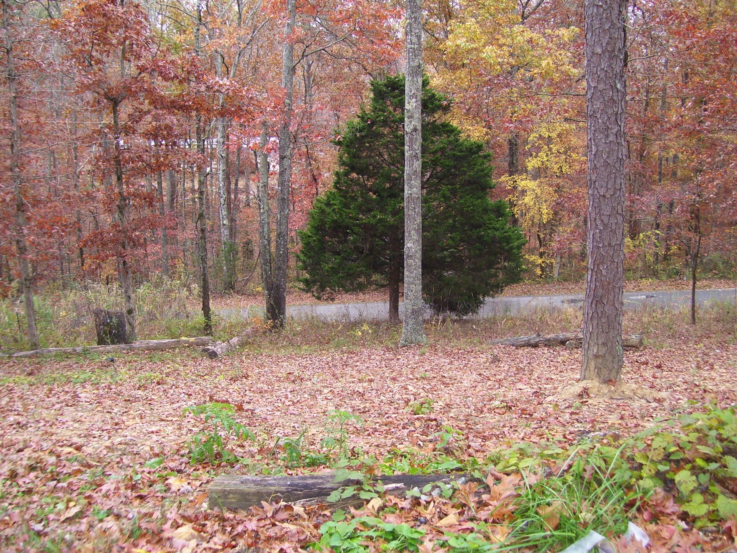 722 Ridge Road Decatur, TN 37322 - Photo 17 of 17 ridge road pictures 113
