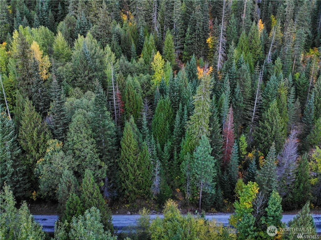25495 White River Road Leavenworth, WA 98826 - Photo 5 of 9 an aerial view of a house with a yard