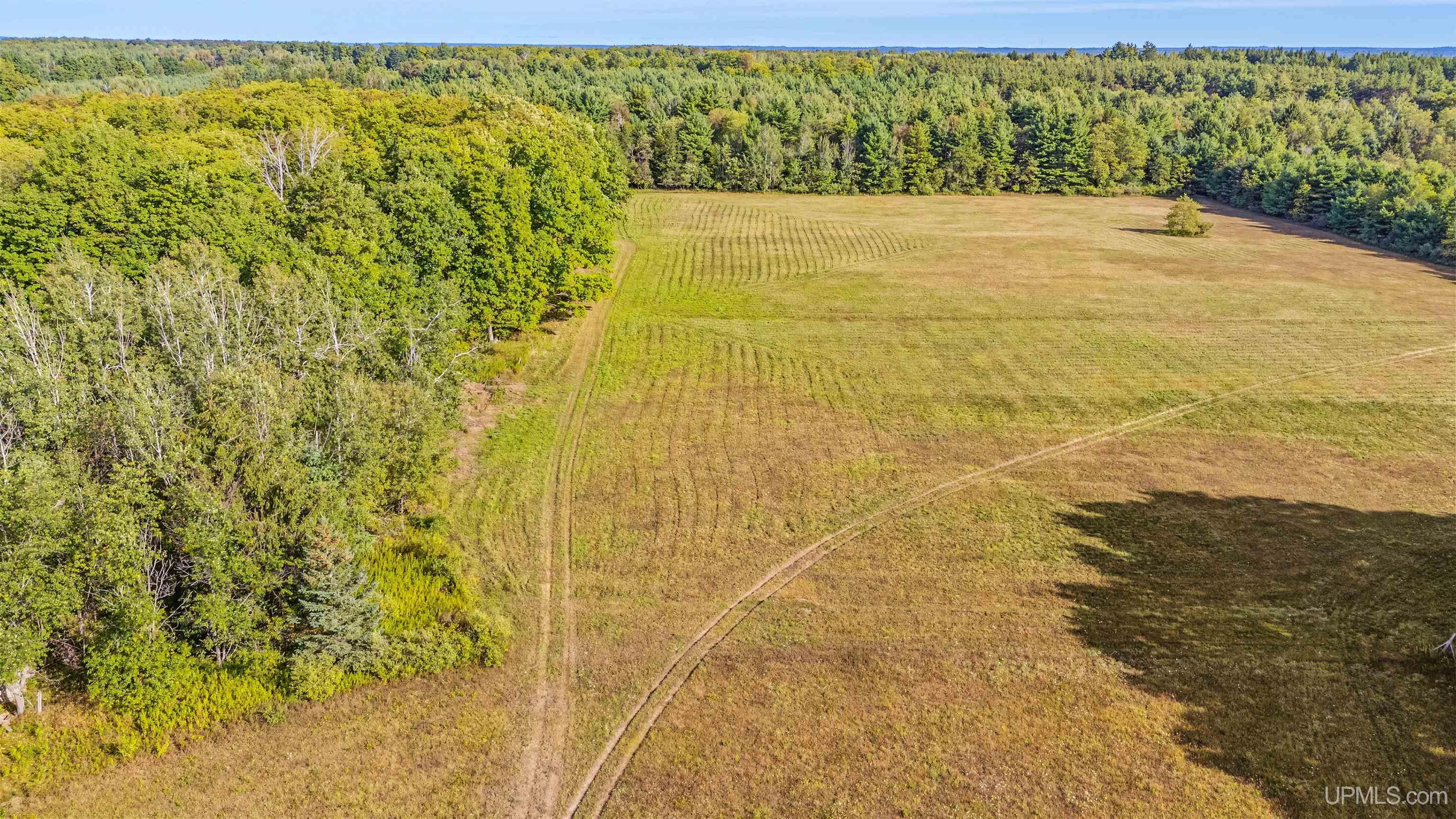 7874 Dawson Road Manistique, MI 49854 - Photo 81 of 90 Gallery Image 81