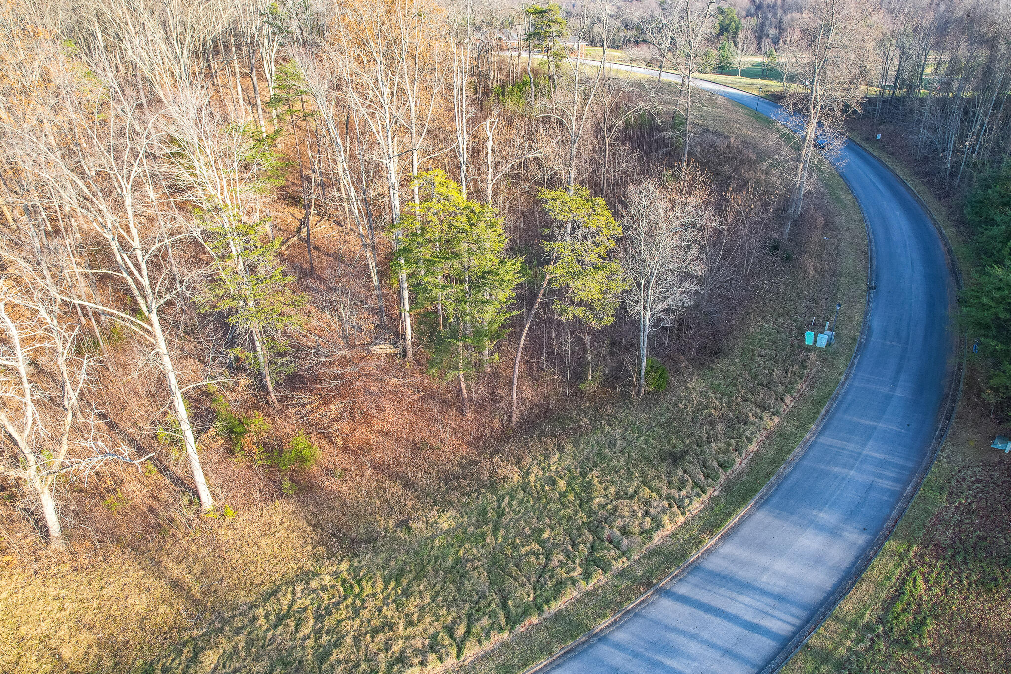 865 Chimney Top Lane, Unit 29 Chuckey, TN 37641 - Photo 14 of 20 Greysburg 13