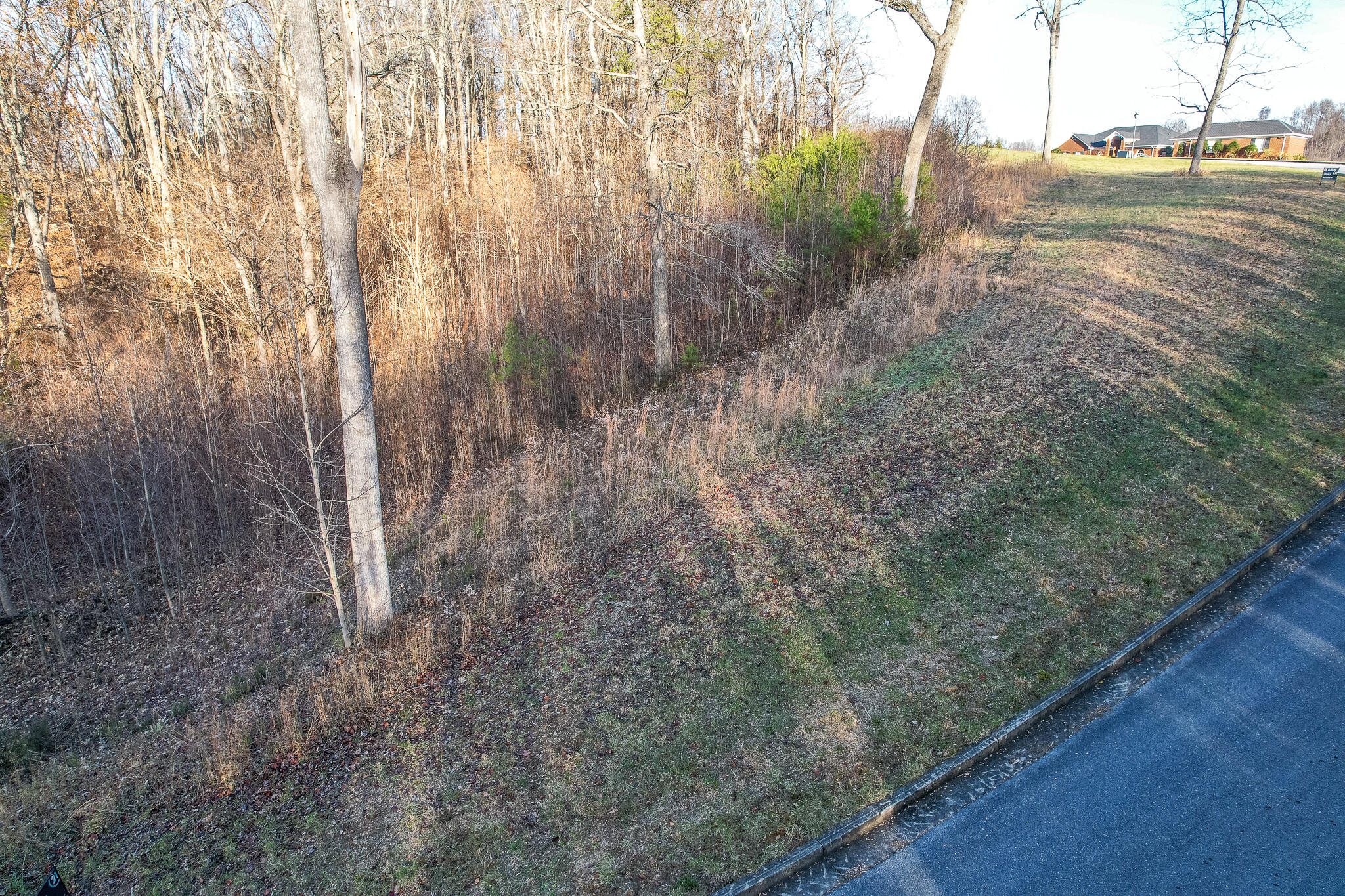 865 Chimney Top Lane, Unit 29 Chuckey, TN 37641 - Photo 2 of 20 Greysburg 1