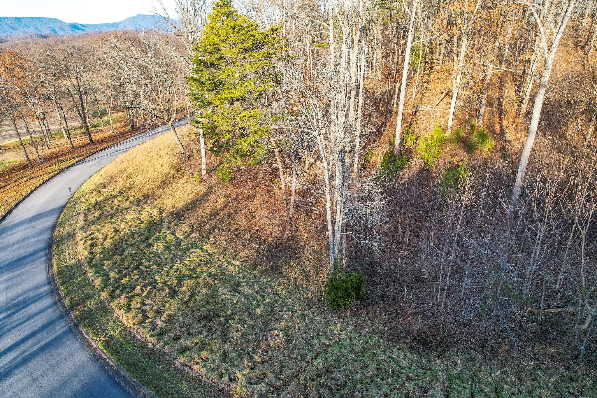 865 Chimney Top Lane, Unit 29 Chuckey, TN 37641 - Photo 3 of 20 Greysburg 2