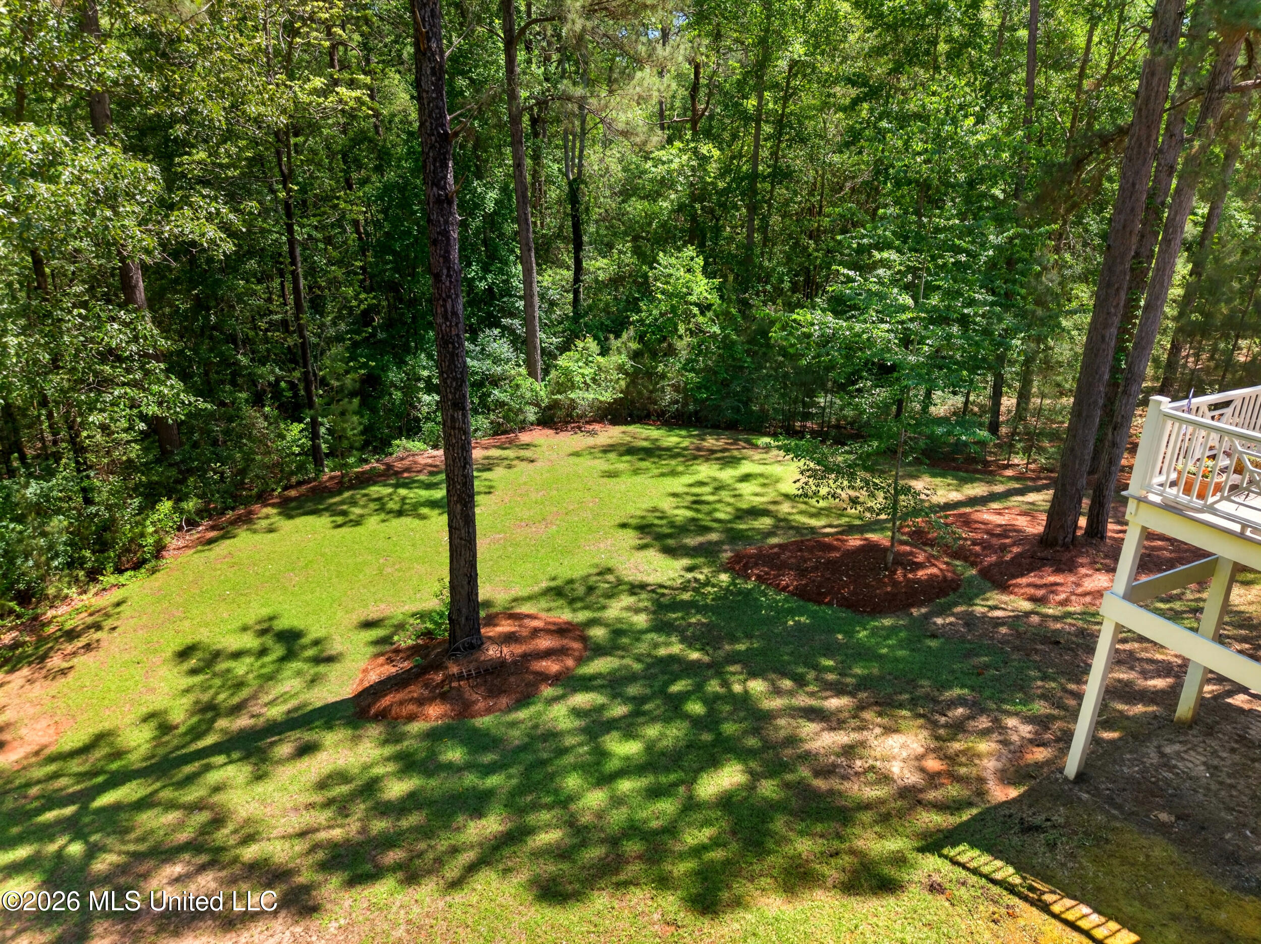 40 Marais Ridge Hattiesburg, MS 39402 - Photo 73 of 94 73_73_backyard