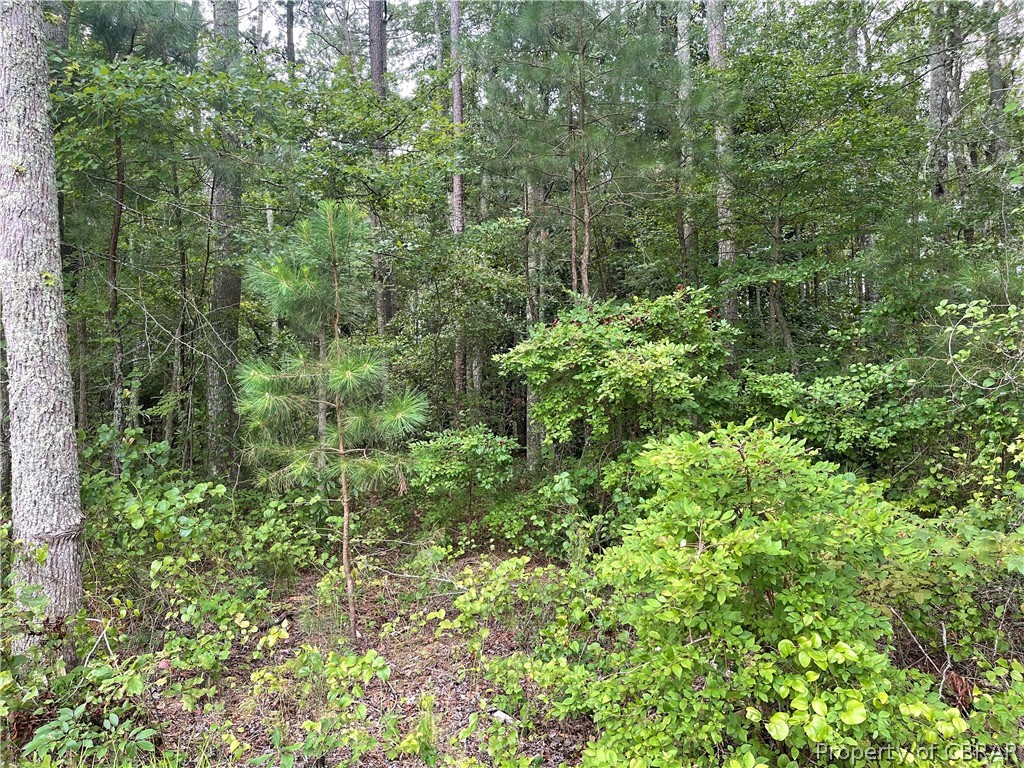 0 Line Fence Road Hayes, VA 23072 - Photo 7 of 14