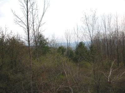 0 Jonesville Road Rensselaerville, NY 12147 - Photo 1 of 1 a view of forest