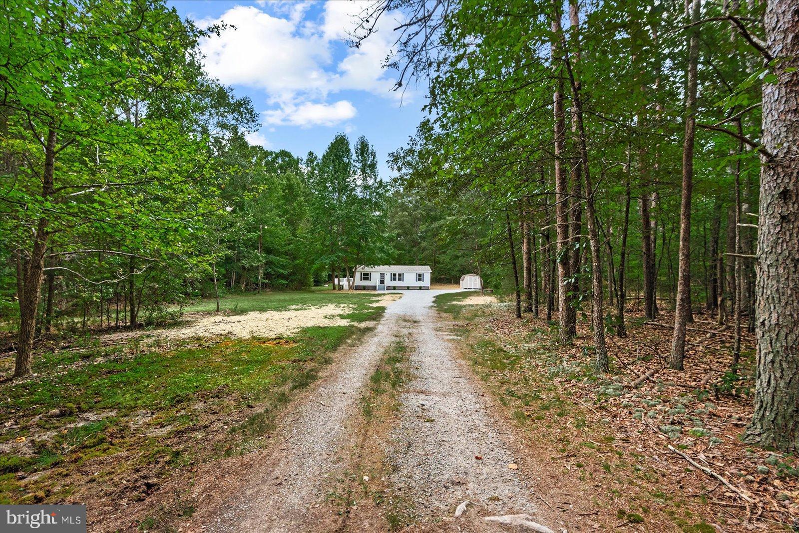 20105 Sparta Road Milford, VA 22514 - Photo 29 of 48 a view of a yard with large trees