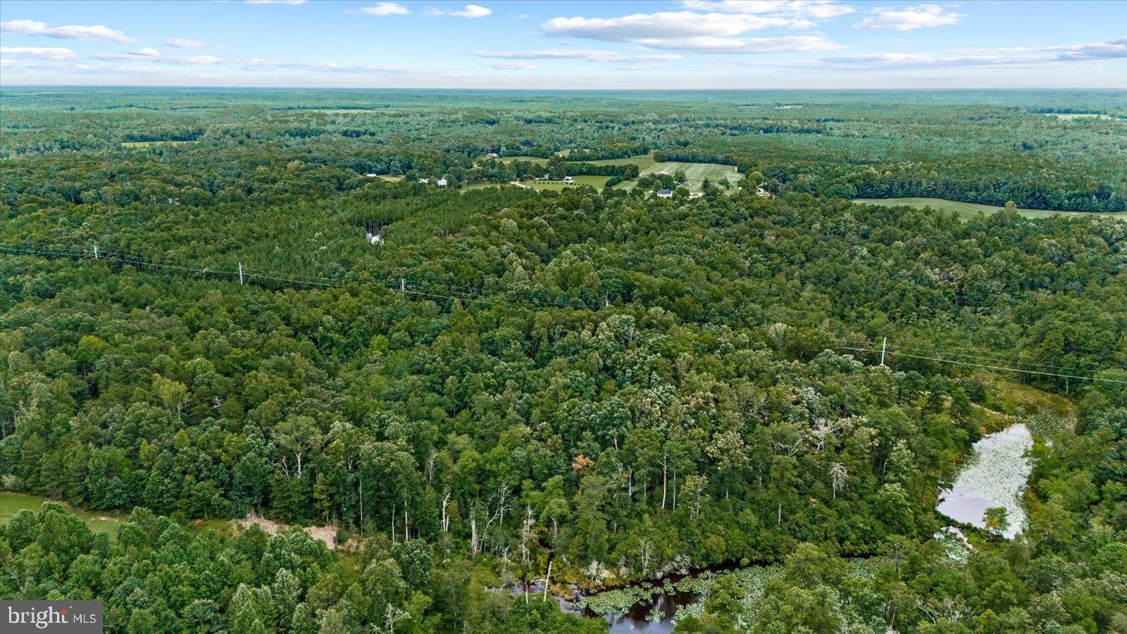 20105 Sparta Road Milford, VA 22514 - Photo 39 of 48 an aerial view of residential houses with outdoor and green space