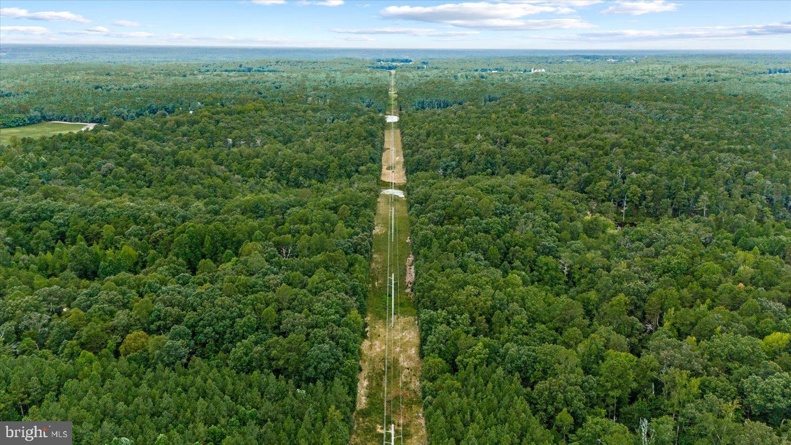 20105 Sparta Road Milford, VA 22514 - Photo 41 of 48 a view of a green field with lots of bushes