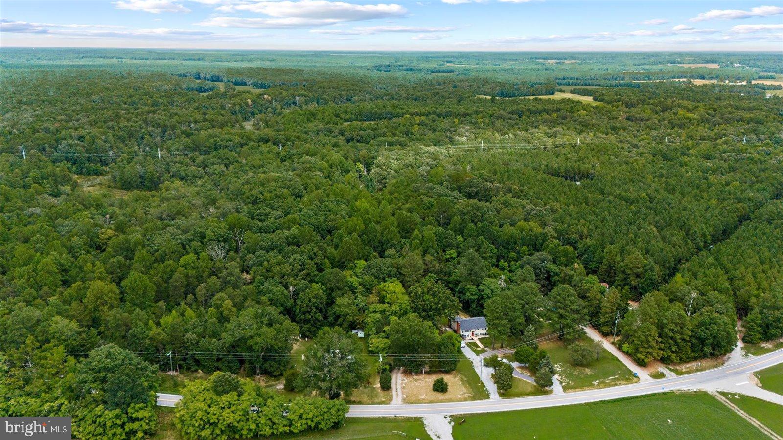 20105 Sparta Road Milford, VA 22514 - Photo 43 of 48 a view of a big yard with large trees