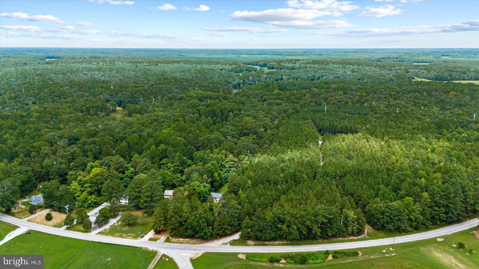 20105 Sparta Road Milford, VA 22514 - Photo 44 of 48 a view of a big yard with large trees