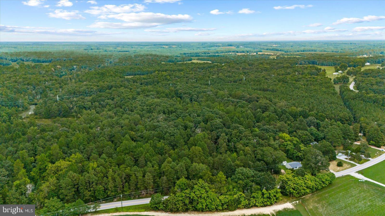 20105 Sparta Road Milford, VA 22514 - Photo 45 of 48 a view of a green field with lots of bushes