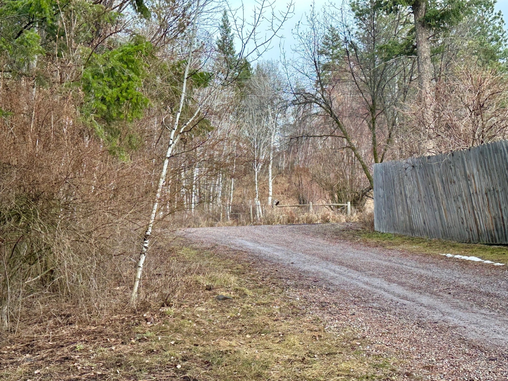 41510 Canal Road Ronan, MT 59864 - Photo 35 of 79 Gallery Image 35
