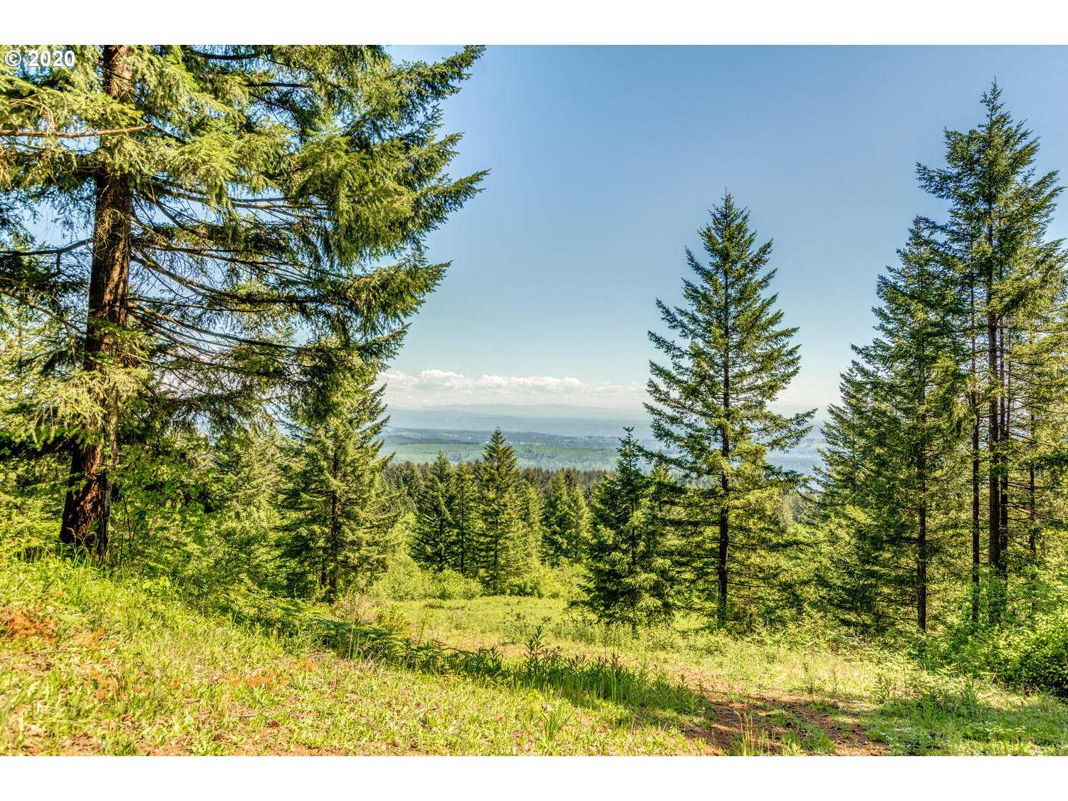 0 Northeast 70th Circle Camas, WA 98607 - Photo 12 of 22 Gallery Image 12