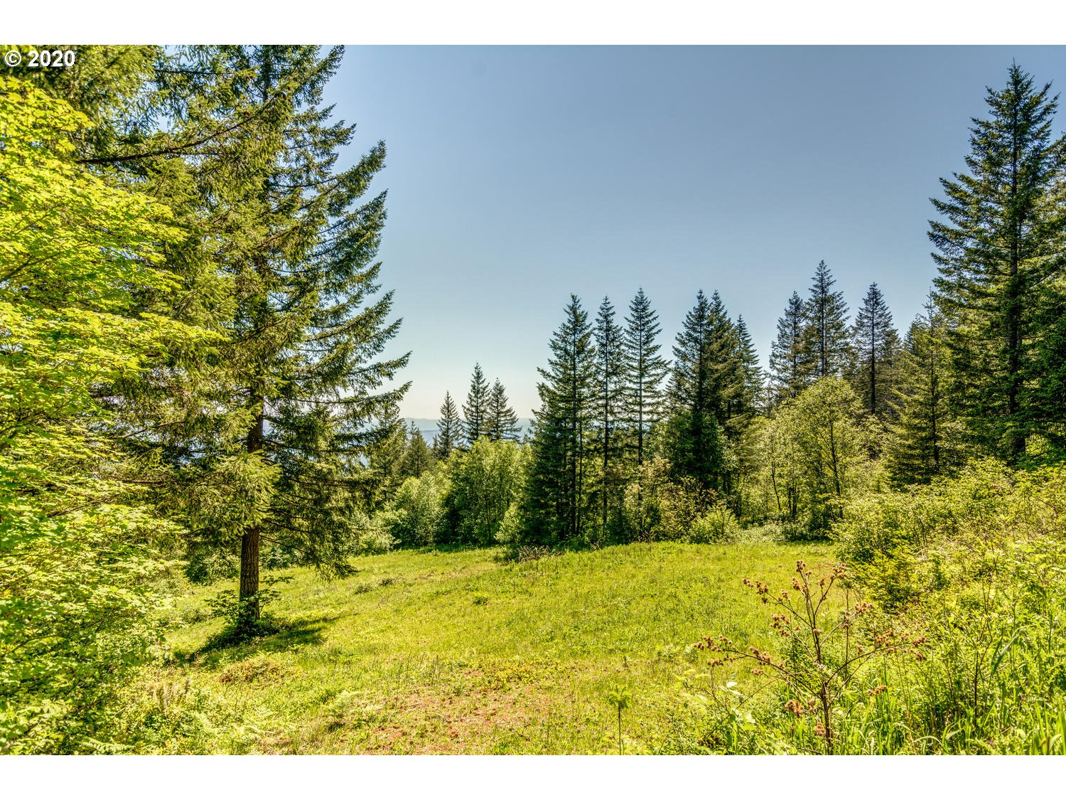0 Northeast 70th Circle Camas, WA 98607 - Photo 4 of 22 Gallery Image 4
