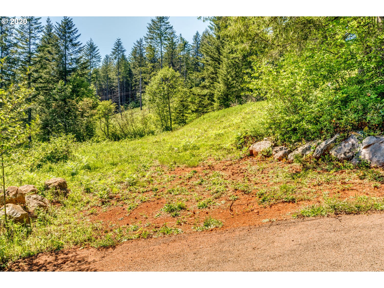 0 Northeast 70th Circle Camas, WA 98607 - Photo 5 of 22 Gallery Image 5