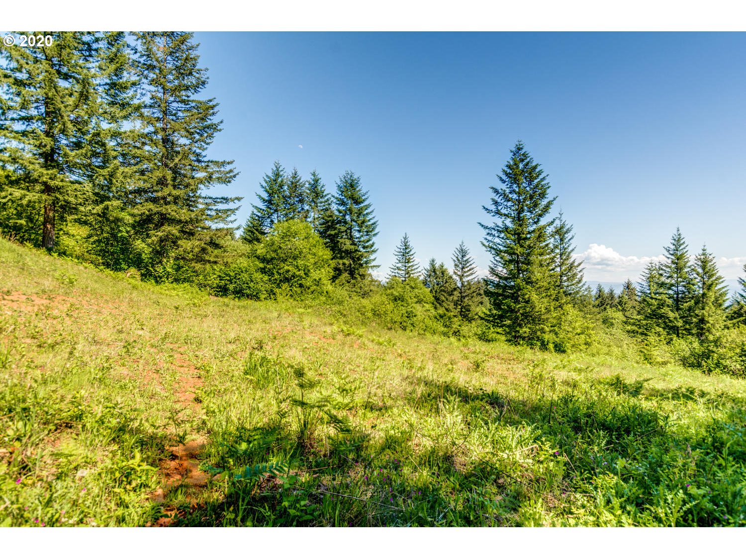 0 Northeast 70th Circle Camas, WA 98607 - Photo 7 of 22 Gallery Image 7