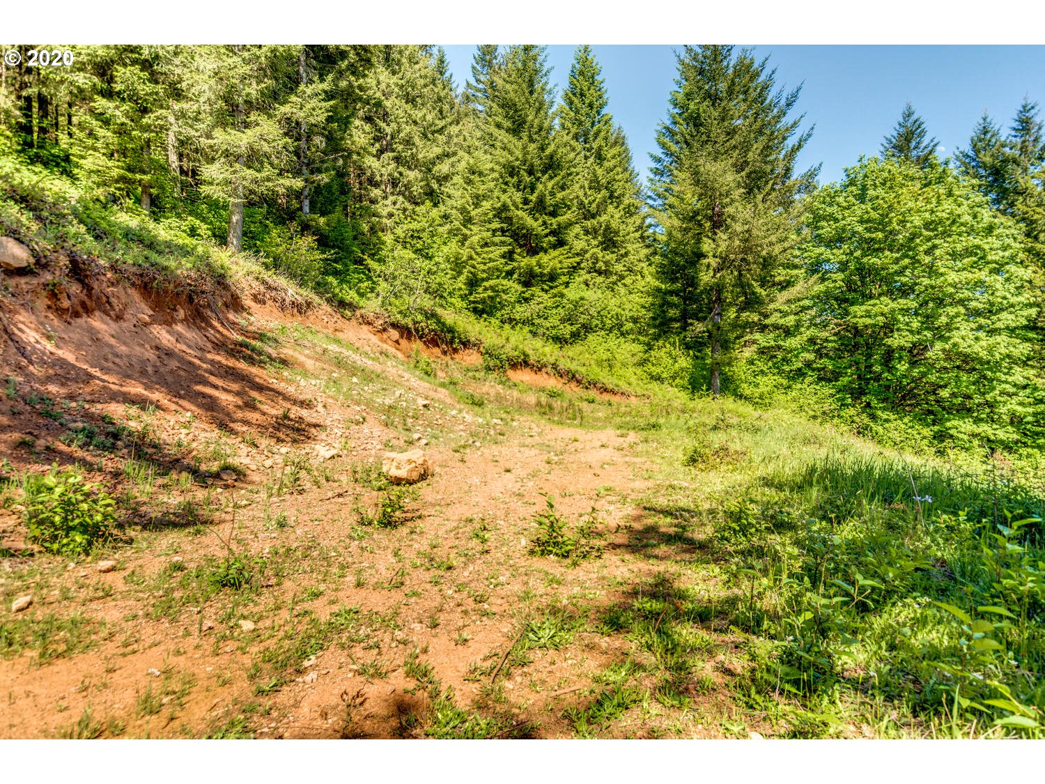 0 Northeast 70th Circle Camas, WA 98607 - Photo 9 of 22 Gallery Image 9