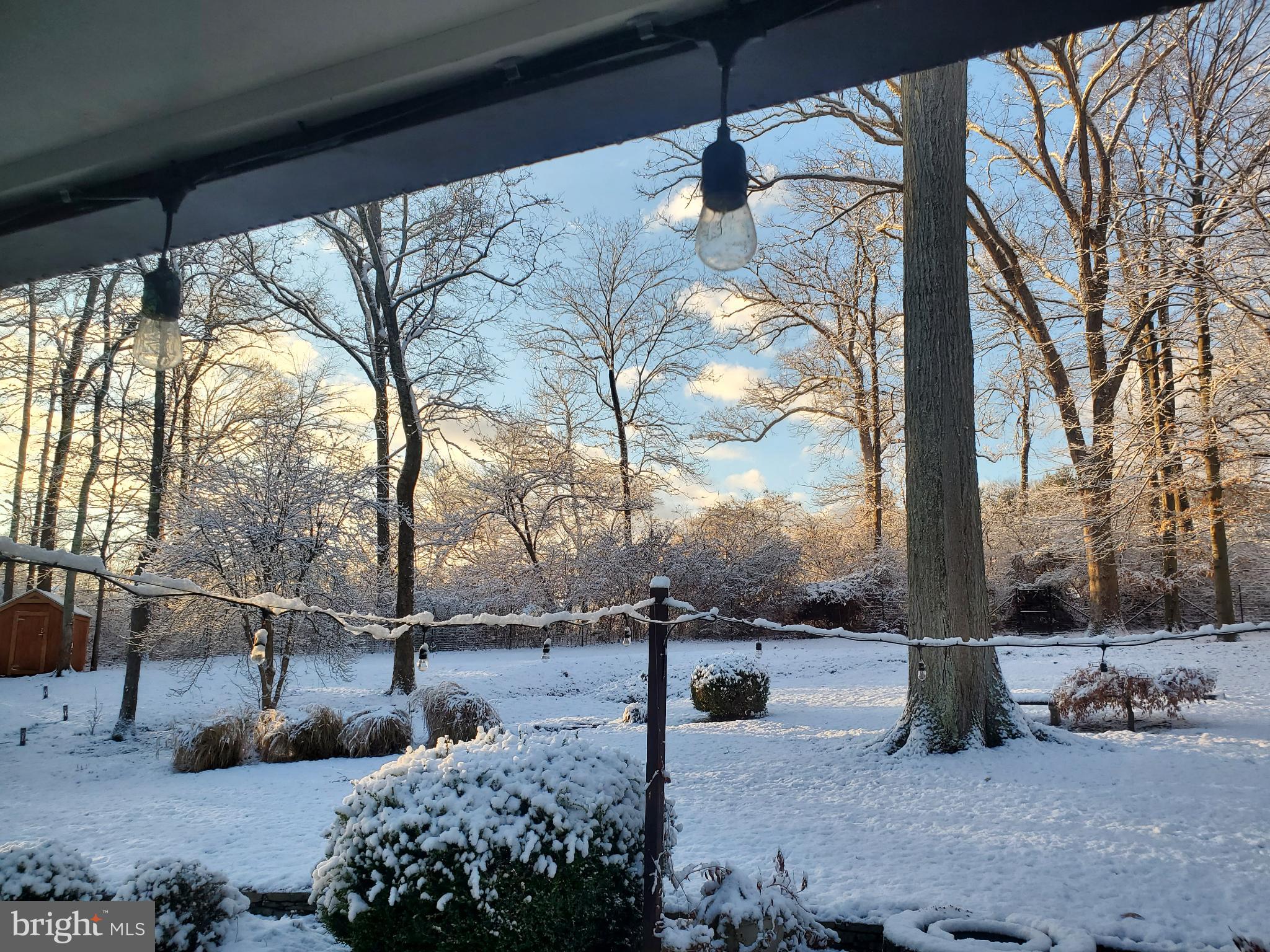 186 Lambert Drive Princeton, NJ 08540 - Photo 52 of 59 Winter's embrace: a serene snowy landscape.