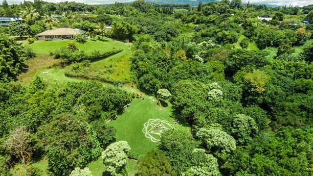 894 East Kuiaha Road Haiku, HI 96708 - Photo 2 of 11 a view of a garden with a plant