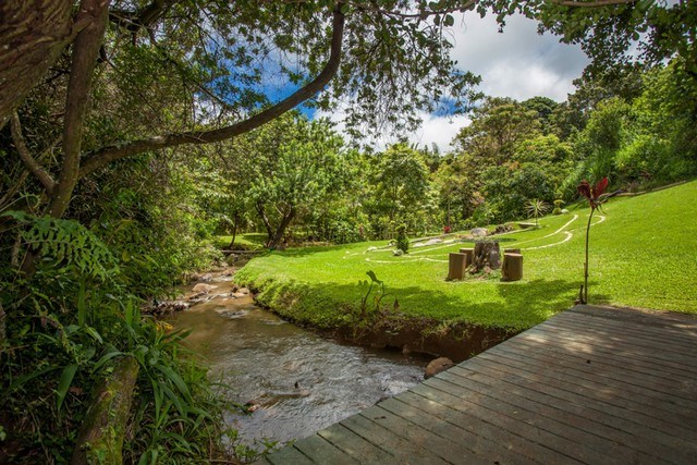 894 East Kuiaha Road Haiku, HI 96708 - Photo 6 of 11 a view of a garden