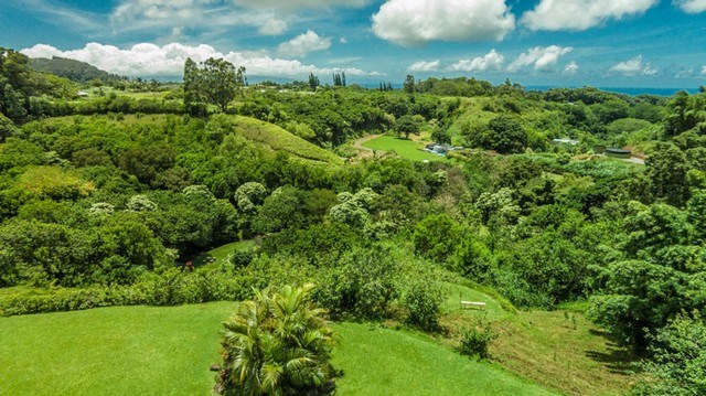 894 East Kuiaha Road Haiku, HI 96708 - Photo 9 of 11